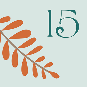 Door 15