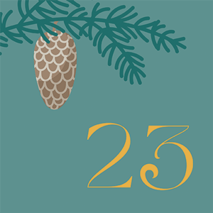 Door 23