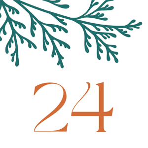 Door 24